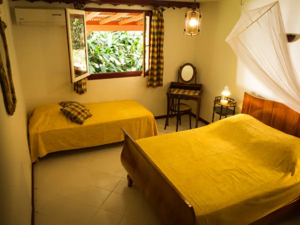 Gîtes Bungalows Pointe-Noire, Guadeloupe, Basse-Terre