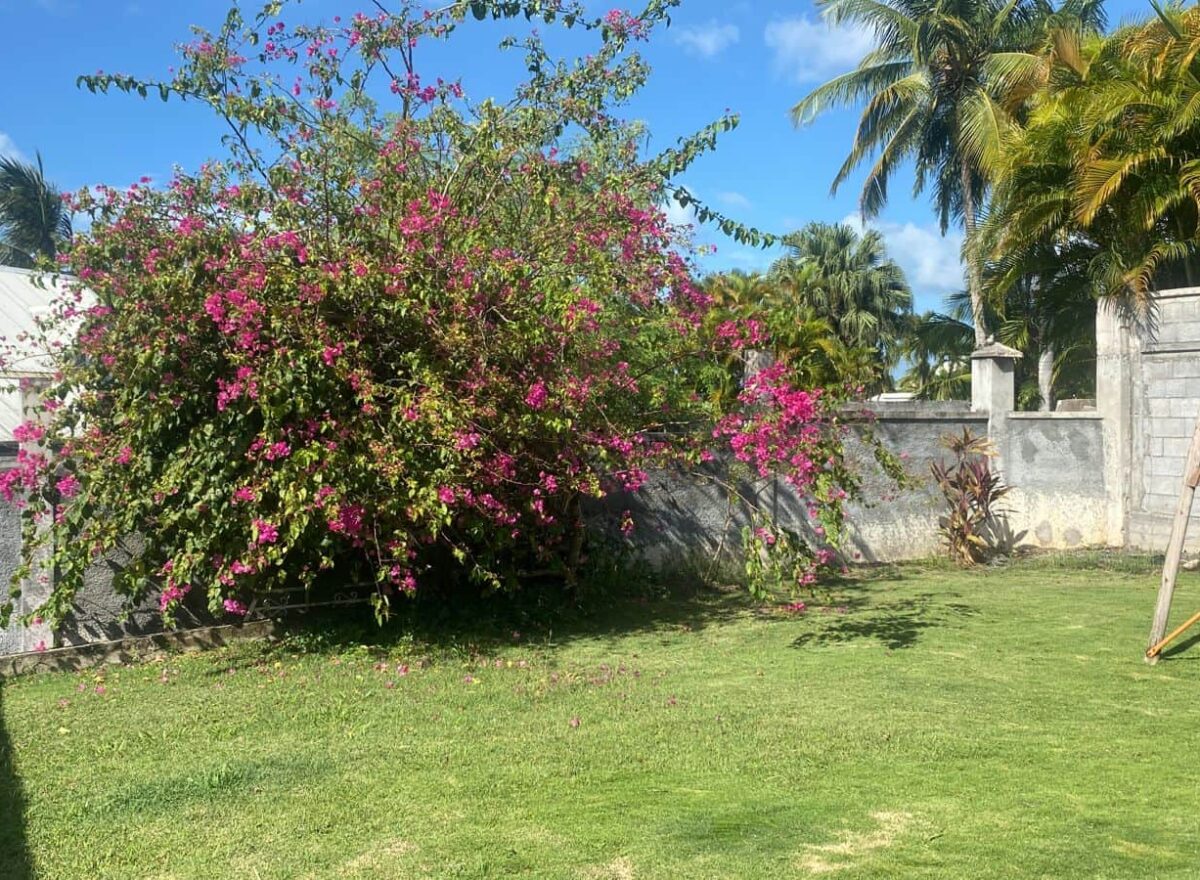 Appartement Lamentin, Basse-Terre, Guadeloupe