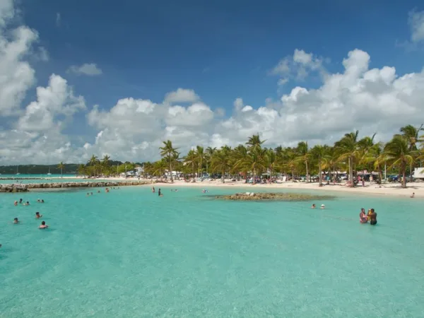 Première fois en Guadeloupe : le guide du débutant 2026