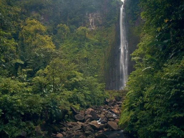Top 15 des lieux incontournables en Guadeloupe