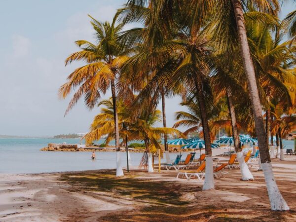 Quand partir en Guadeloupe ? Météo et saisons mois par mois