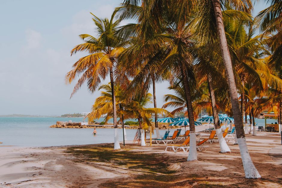 Quand partir en Guadeloupe ? Météo et saisons mois par mois