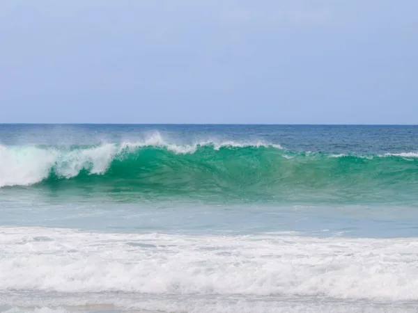 Surf en Guadeloupe : spots et écoles pour tous niveaux — Toute la Guadeloupe, Guadeloupe