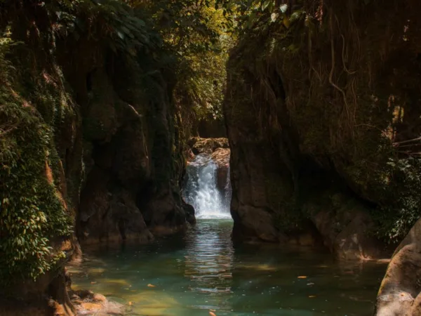 Canyoning et forêt aventure en Guadeloupe - Toute la Guadeloupe, Guadeloupe