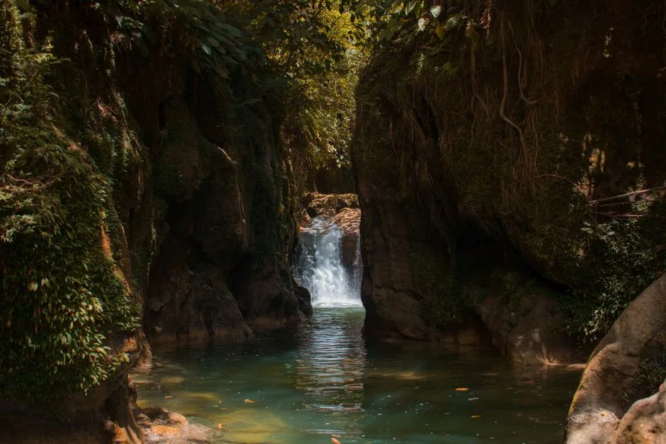 Canyoning et forêt aventure en Guadeloupe - Toute la Guadeloupe, Guadeloupe