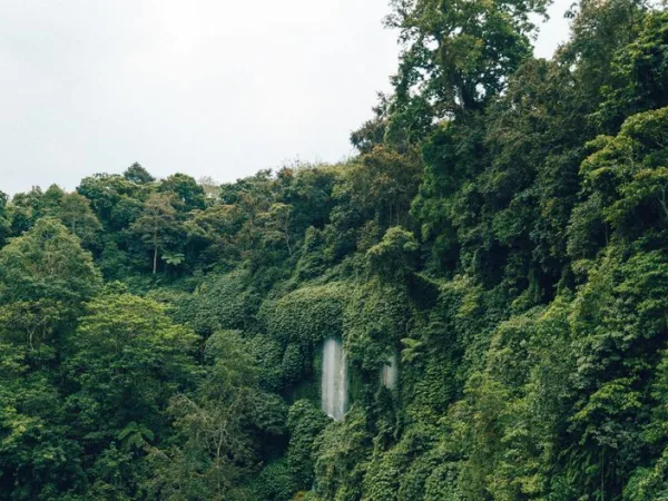 Guadeloupe écolo : tourisme durable et responsable - Toute la Guadeloupe, Guadeloupe