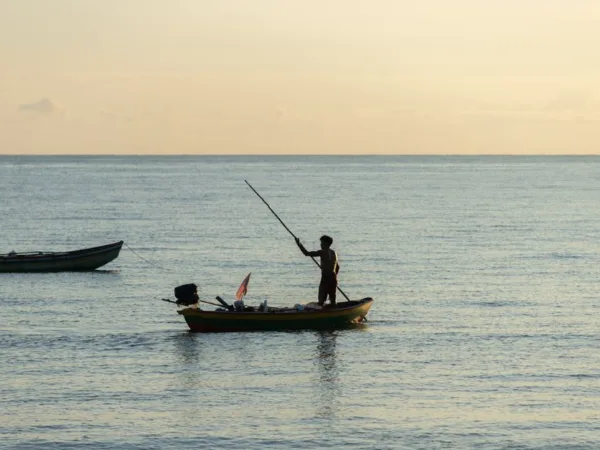 Pêche au gros et sorties mer en Guadeloupe - Toute la Guadeloupe, Guadeloupe