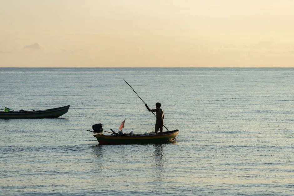 Pêche au gros et sorties mer en Guadeloupe - Toute la Guadeloupe, Guadeloupe