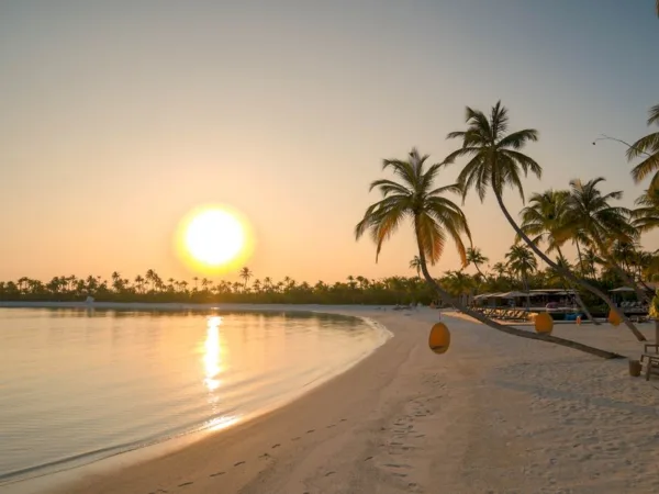 Que faire en Guadeloupe en 48h : le week-end express - Toute la Guadeloupe, Guadeloupe