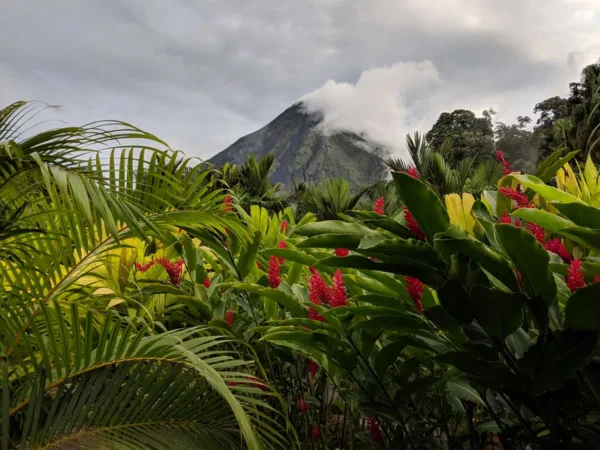Top 5 des incontournables de Basse-Terre - Toute la Guadeloupe, Guadeloupe