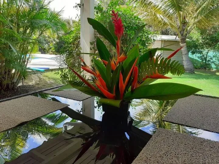 Gîtes Bungalows en Guadeloupe Anse-Bertrand, Grande-Terre