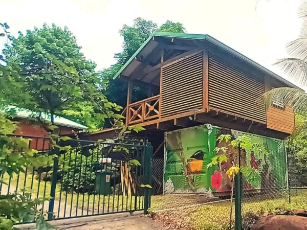 Gîtes Bungalows en Guadeloupe Pointe-Noire, Basse-Terre