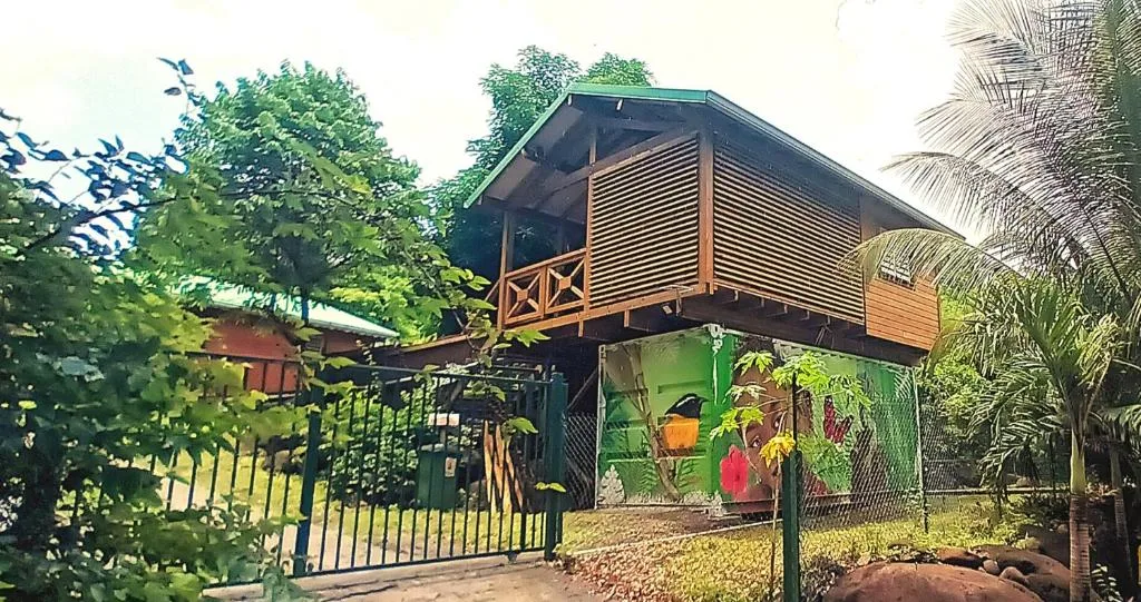 Gîtes Bungalows en Guadeloupe Pointe-Noire, Basse-Terre